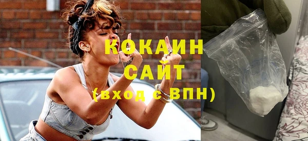 мдпв Михайлов