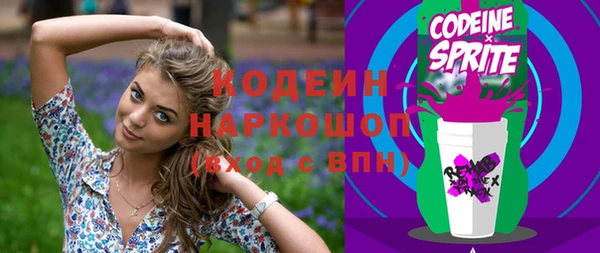 мдпв Михайлов