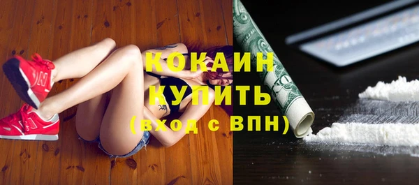 мдпв Михайлов