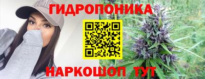 дживик Кандалакша